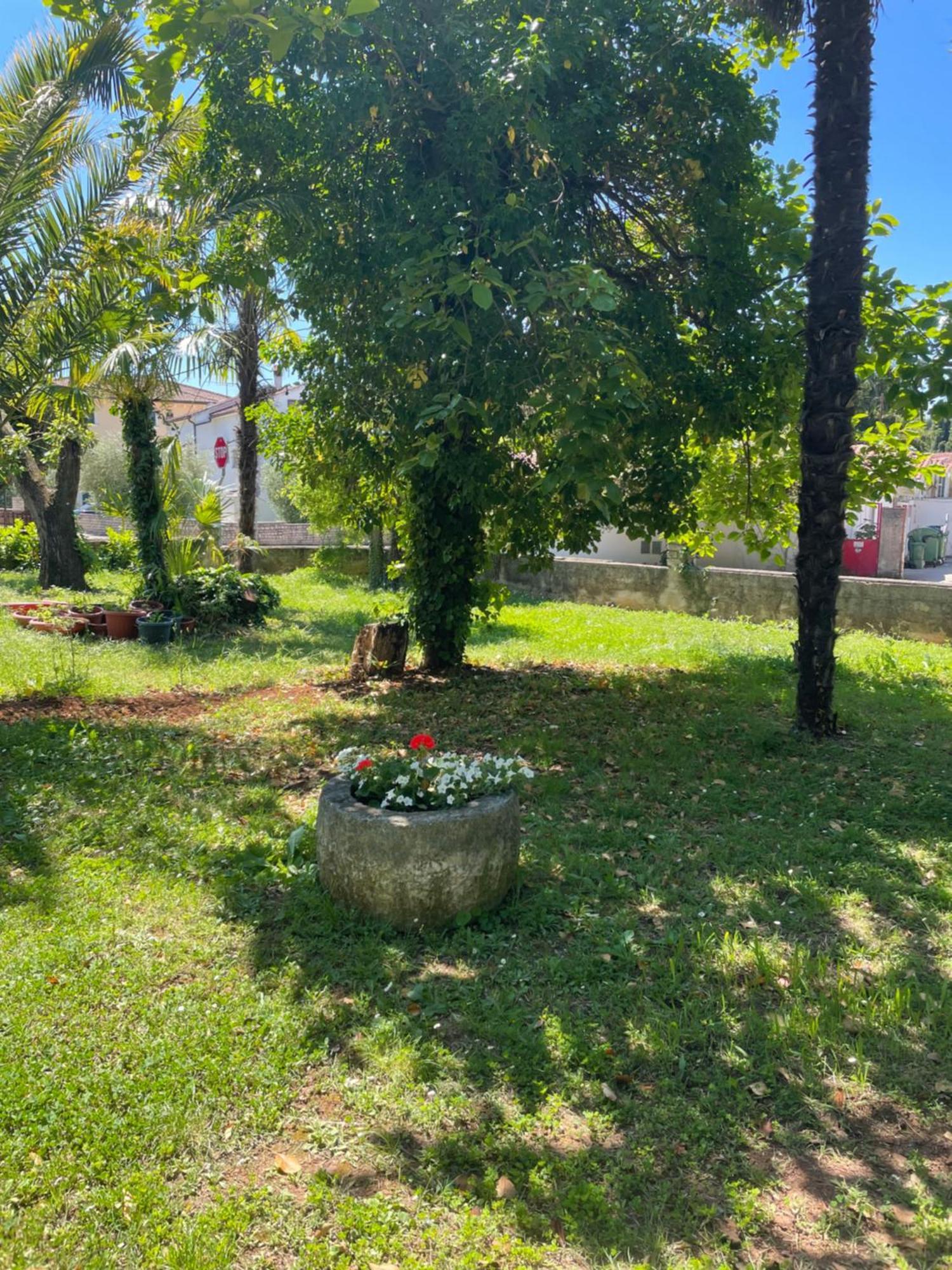 Apartments Bloom Near The Beach Poreč Extérieur photo